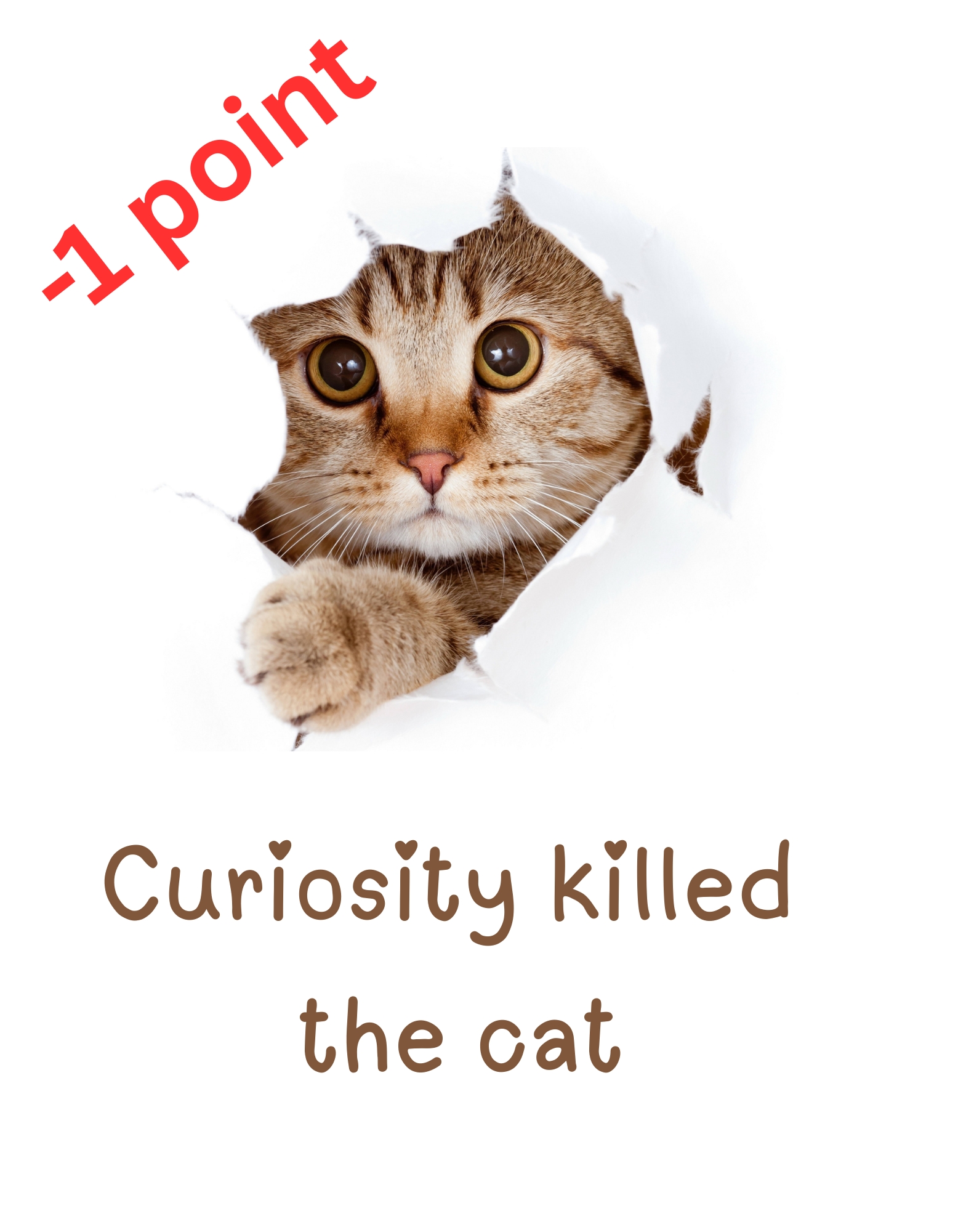 Curiosity killed the cat / -1 point